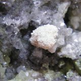Calcite and Duftite
134mm x 72mm x 75mm
(Autor: Heimo Hellwig)