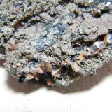 Wulfenite and Pyrite
47mm x 42mm x 20mm
(Autor: Heimo Hellwig)