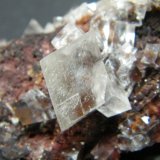 Calcite
76mm x 40mm x 37mm
(Autor: Heimo Hellwig)