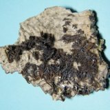 Copper on Dolomite
61mm x 52mm x 12mm
(Autor: Heimo Hellwig)