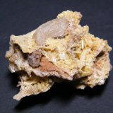 Mimetite and Cerussite
50mm x 41mm x 28mm
(Autor: Heimo Hellwig)