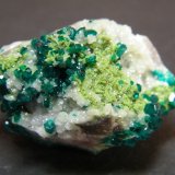 Dioptase and Duftite on Calcite
39mm x 27mm x 30mm
(Autor: Heimo Hellwig)