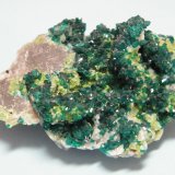 Dioptase, Calcite and Duftite
68mm x 50mm x 34mm
(Autor: Heimo Hellwig)