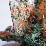 Malachite on Wulfenite
48mm x 41mm x 37mm
(Autor: Heimo Hellwig)