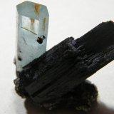 Beryl (var. aquamarine) on Schorl
35x40mm
(Autor: Heimo Hellwig)