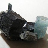 Beryl (var. aquamarine) on Schorl
80x50mm
(Autor: Heimo Hellwig)