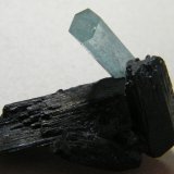 Beryl (var. aquamarine) on Schorl
50x40mm
(Autor: Heimo Hellwig)