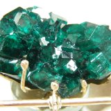 Dioptase
60x50mm
(Autor: Heimo Hellwig)