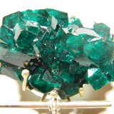 Dioptase
60x50mm
(Autor: Heimo Hellwig)