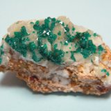 Dioptase on Calcite
40mm x 26mm x 23mm
(Autor: Heimo Hellwig)