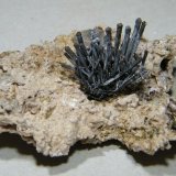 Copper
3cm wide x 2cm high Nail diameter 1-2mm
(Autor: Heimo Hellwig)