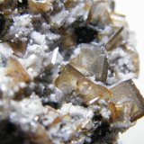 Wulfenite
110x70mm
(Autor: Heimo Hellwig)