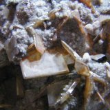 Wulfenite
120x80mm
(Autor: Heimo Hellwig)