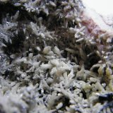 Mimetite
130x100mm
(Autor: Heimo Hellwig)