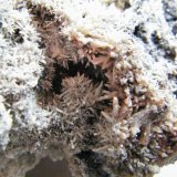 Mimetite
130x100mm
(Autor: Heimo Hellwig)
