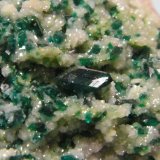 Dioptase, Calcite and Duftite
51mm x 69mm x 40mm
(Autor: Heimo Hellwig)