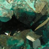 Dioptase
53mm x 25mm x 40mm
(Autor: Heimo Hellwig)