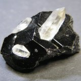 Schorl and Quartz
36mm x 26mm x 23mm
(Autor: Heimo Hellwig)