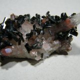 Epidote and Quartz
60x40mm
(Autor: Heimo Hellwig)