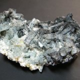 Beryl (variety aquamarine) and Schorl
112mm x 60mm x 43mm
(Autor: Heimo Hellwig)