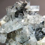 Beryl (variety aquamarine) and Schorl
112mm x 60mm x 43mm
(Autor: Heimo Hellwig)