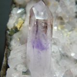Quartz (variety amethyst)
60mm x 123mm x 45mm
(Autor: Heimo Hellwig)