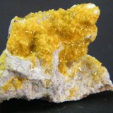 Arsenbrackebuschite
43mm x 27mm x 28mm
(Autor: Heimo Hellwig)