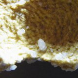 Dolomite
330x250x100mm
(Autor: Heimo Hellwig)