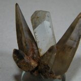Topaz
50x40mm
(Autor: Heimo Hellwig)