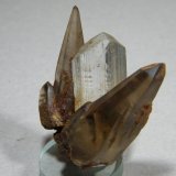 Topaz
50x40mm
(Autor: Heimo Hellwig)
