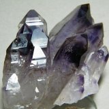 Quartz (variety amethyst)
80x60mm
(Autor: Heimo Hellwig)