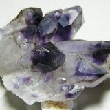 Quartz (variety amethyst)
80x60mm
(Autor: Heimo Hellwig)