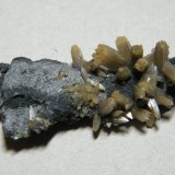Wulfenite
60x30mm
(Autor: Heimo Hellwig)