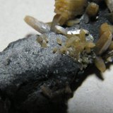 Wulfenite
60x30mm
(Autor: Heimo Hellwig)