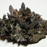 Descloizite
55x50mm
(Autor: Heimo Hellwig)