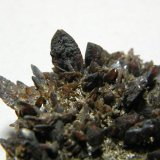 Descloizite
55x50mm
(Autor: Heimo Hellwig)