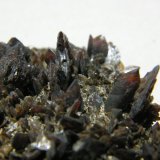 Descloizite
55x50mm
(Autor: Heimo Hellwig)