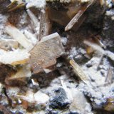 Wulfenite
120x80x50mm
(Autor: Heimo Hellwig)