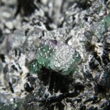 Fluorite and Schorl
200x130x120mm
(Autor: Heimo Hellwig)