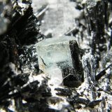 Schorl and Beryl (variety aquamarine)
200x130x120mm
(Autor: Heimo Hellwig)