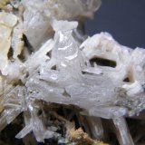 Cerussite
60mm x 76mm x 35mm
(Autor: Heimo Hellwig)