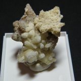 Aragonite (variety tarnowitzite)
40x35mm
(Autor: Heimo Hellwig)