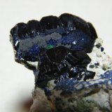 Azurite
60x40mm
(Autor: Heimo Hellwig)