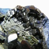 Azurite
70x60mm
(Autor: Heimo Hellwig)