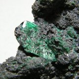 Mottramite, Malachite, Azurite
70x50mm
(Autor: Heimo Hellwig)