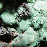 Malachite
75x60x45mm
(Autor: Heimo Hellwig)
