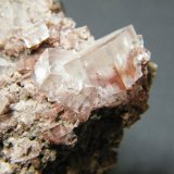 Calcite
175x80x50mm
(Autor: Heimo Hellwig)