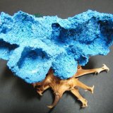 Shattuckite
95x55x25mm
(Autor: Heimo Hellwig)