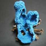 Shattuckite
100x60x35mm
(Autor: Heimo Hellwig)
