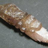 Quartz
60x20mm
(Autor: Heimo Hellwig)